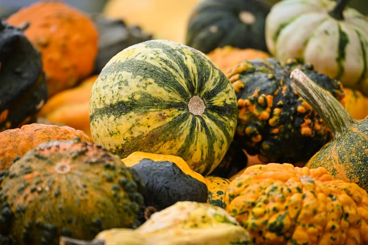 Seasonal UK Produce: What to Cook in October
